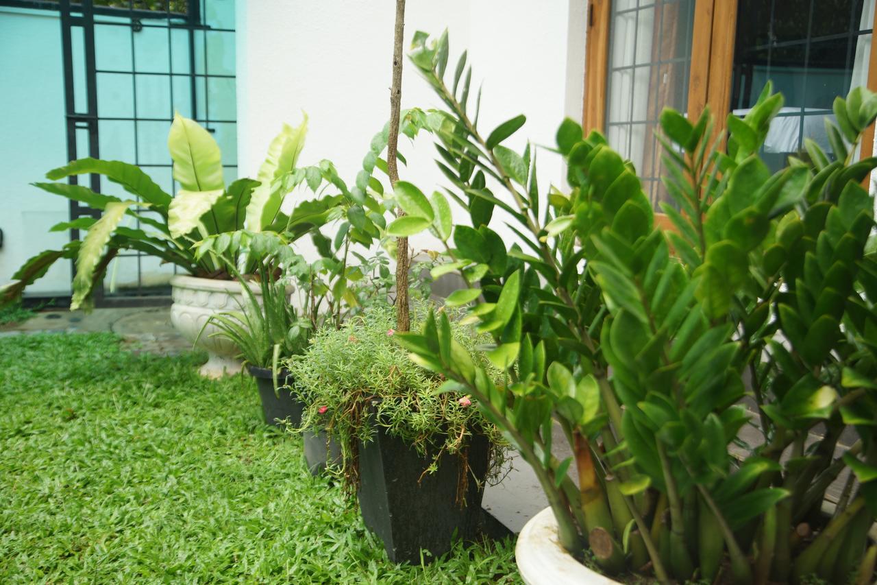 Nelinsa Residence Kandy Bagian luar foto